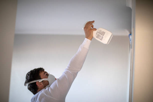 Best Bathroom Mold Remediation in Cottleville, MO